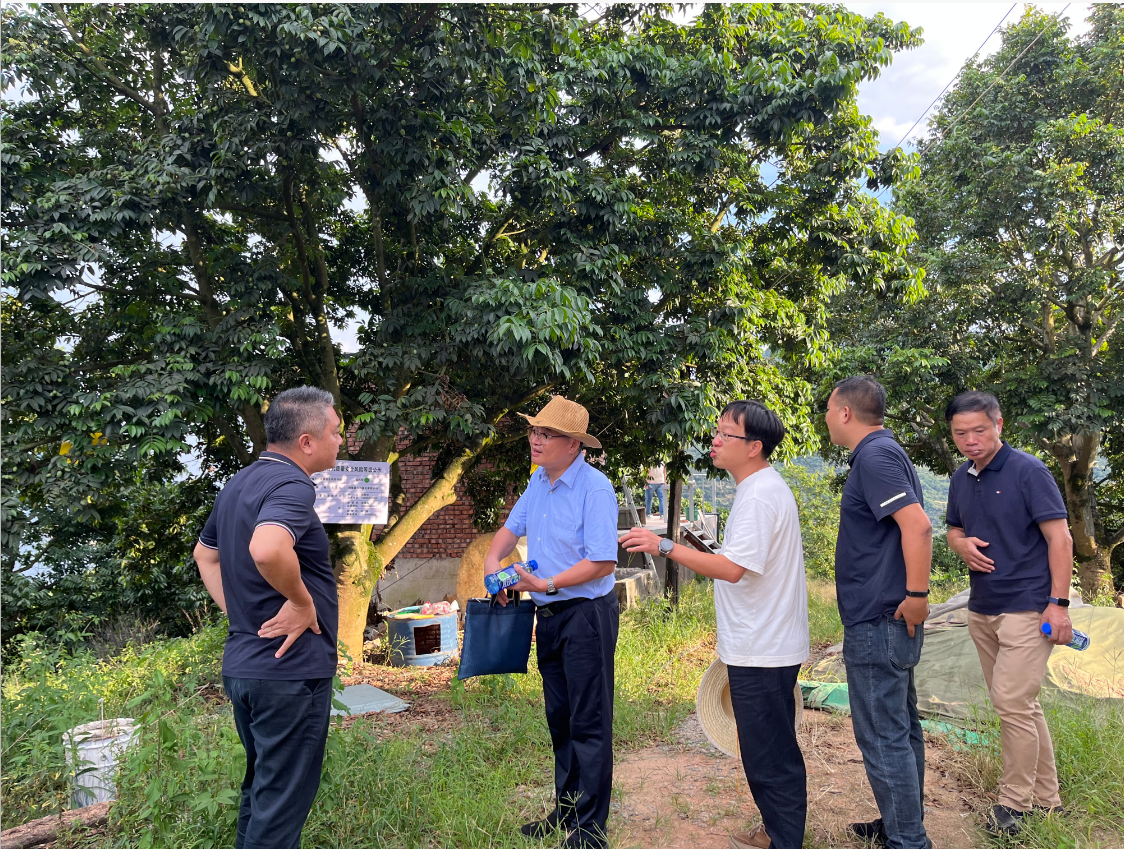 aa1528bc-0977-441f-850d-55d970362b43